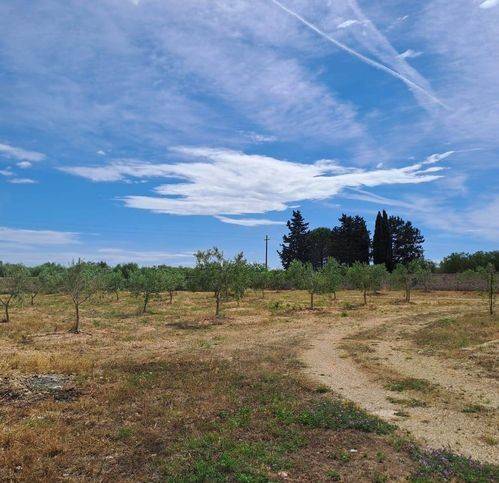 casa indipendente in vendita ad Acquaviva delle Fonti