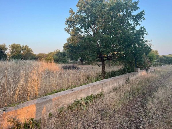 terreno agricolo in vendita ad Acquaviva delle Fonti