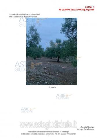 terreno agricolo in vendita ad Acquaviva delle Fonti