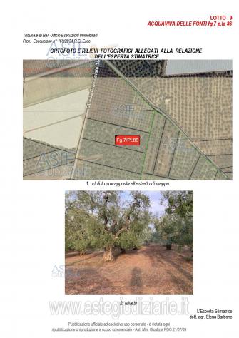 terreno agricolo in vendita ad Acquaviva delle Fonti
