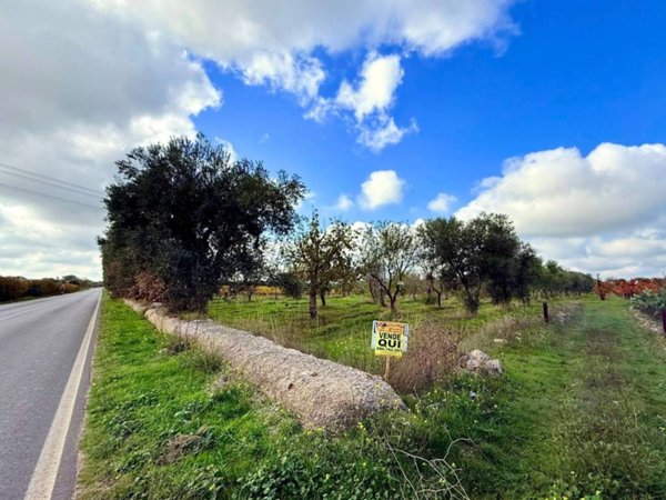 terreno agricolo in vendita ad Acquaviva delle Fonti