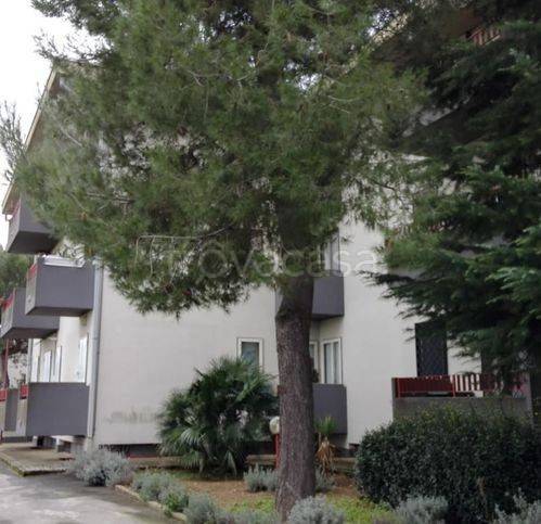 appartamento in vendita ad Acquaviva delle Fonti