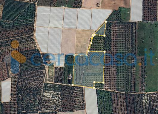 terreno agricolo in vendita ad Acquaviva delle Fonti