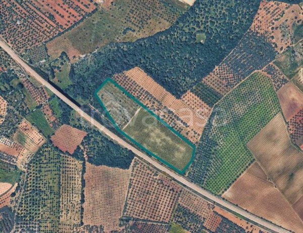 terreno agricolo in vendita ad Acquaviva delle Fonti