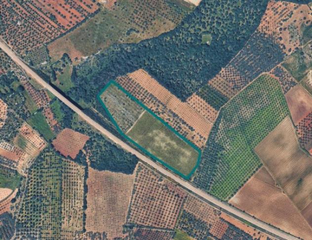 terreno agricolo in vendita ad Acquaviva delle Fonti