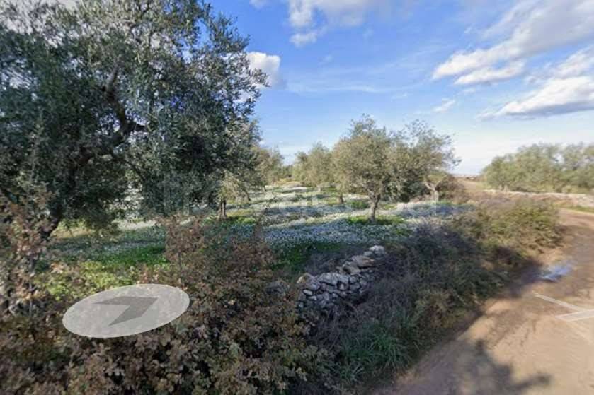 terreno agricolo in vendita ad Acquaviva delle Fonti in zona Salentino