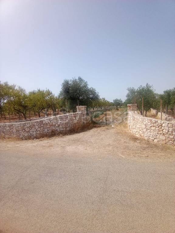 terreno agricolo in vendita ad Acquaviva delle Fonti in zona Salentino