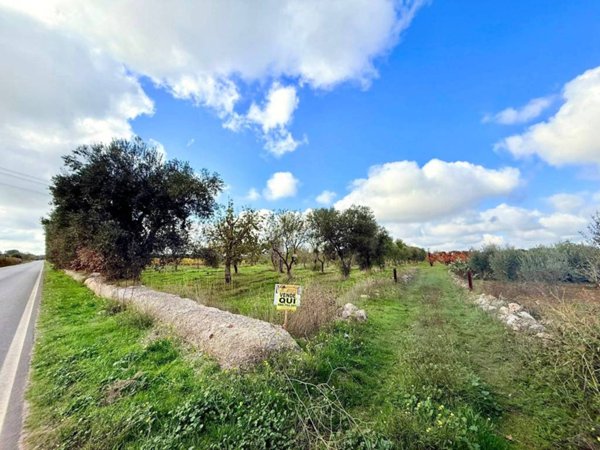 terreno agricolo in vendita ad Acquaviva delle Fonti