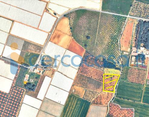 terreno agricolo in vendita ad Acquaviva delle Fonti in zona Salentino