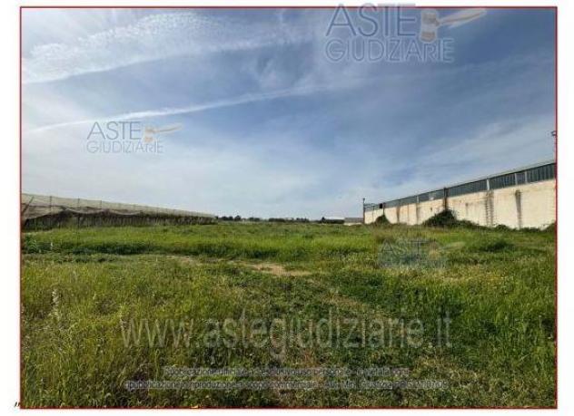 terreno agricolo in vendita ad Adelfia in zona Canneto