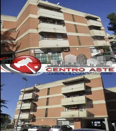 immagine annuncio 0 di 15