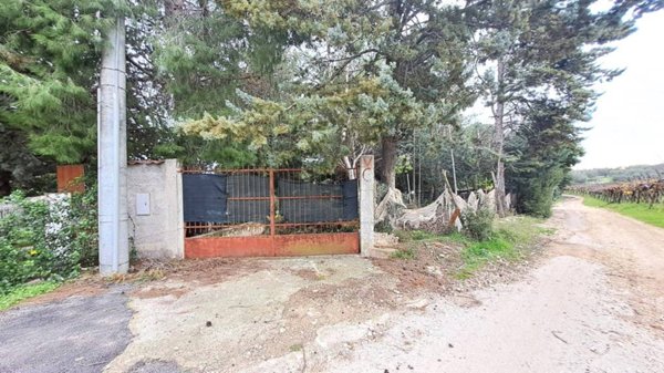 casa indipendente in vendita ad Adelfia