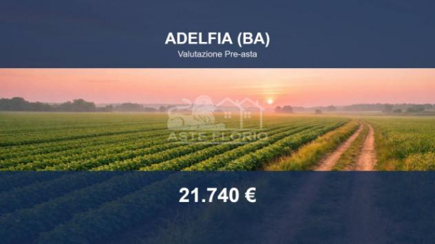 terreno agricolo in vendita ad Adelfia