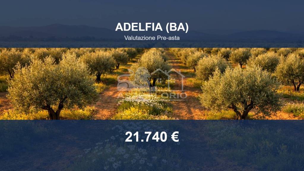 terreno agricolo in vendita ad Adelfia