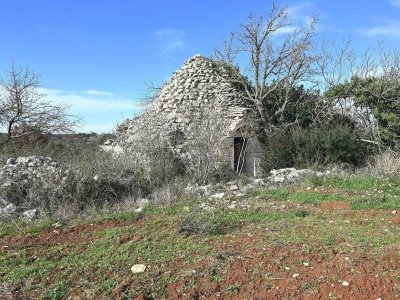 terreno agricolo in vendita ad Alberobello