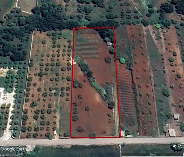 terreno agricolo in vendita ad Alberobello