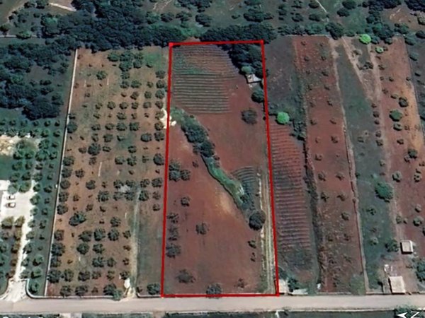 terreno agricolo in vendita ad Alberobello