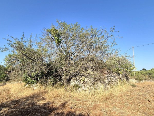 appartamento in vendita ad Alberobello