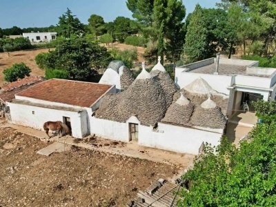 appartamento in vendita ad Alberobello
