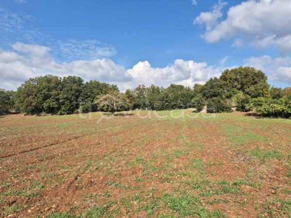 terreno agricolo in vendita ad Alberobello