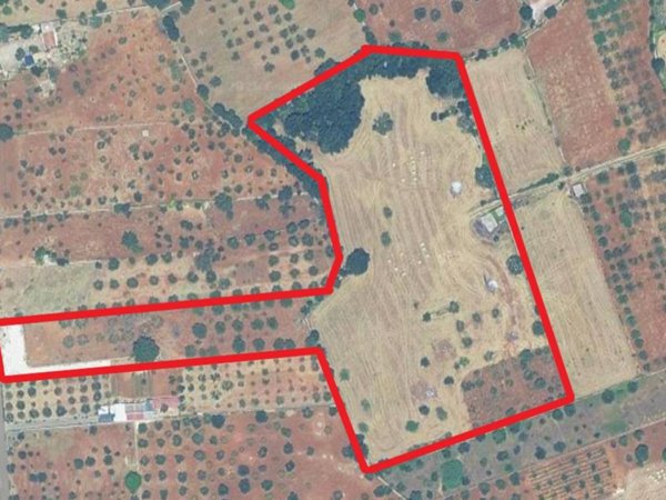 terreno agricolo in vendita ad Alberobello