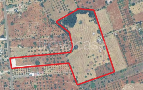 appartamento in vendita ad Alberobello