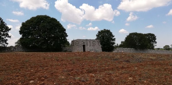 terreno agricolo in vendita ad Alberobello in zona Coreggia