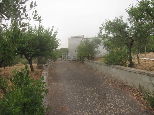 appartamento in vendita ad Alberobello