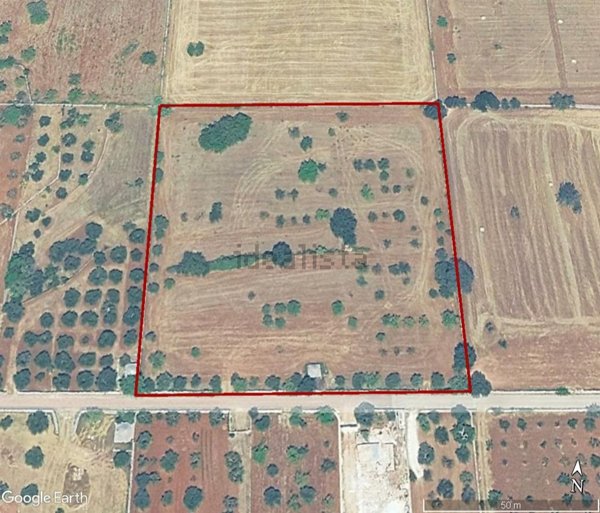 terreno agricolo in vendita ad Alberobello