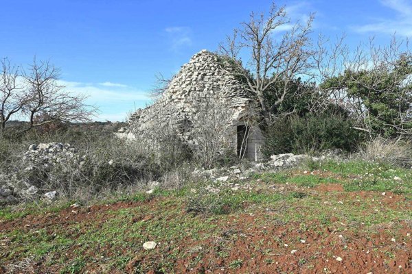 terreno agricolo in vendita ad Alberobello in zona Coreggia