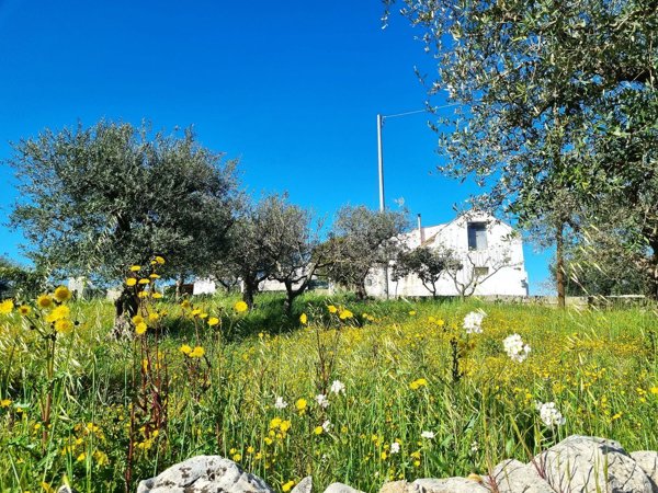 casa indipendente in vendita ad Alberobello
