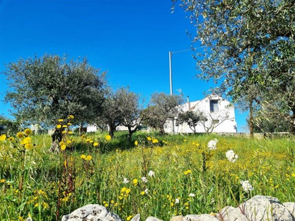casa indipendente in vendita ad Alberobello