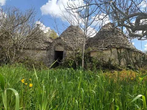 casa indipendente in vendita ad Alberobello