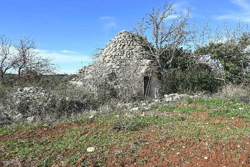 terreno agricolo in vendita ad Alberobello in zona Coreggia