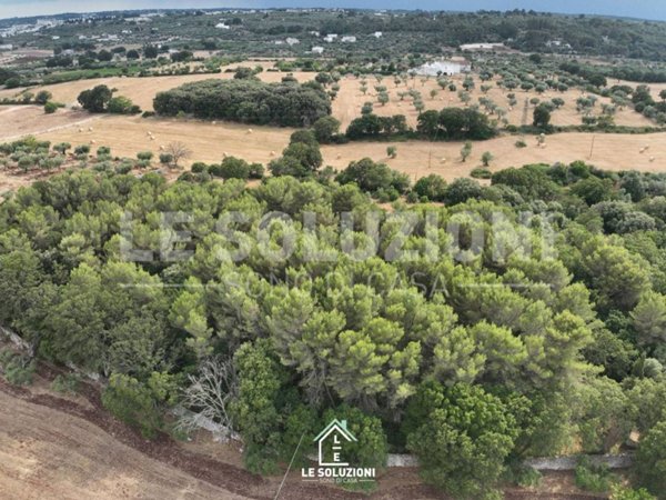 terreno agricolo in vendita ad Alberobello in zona Pantanelli