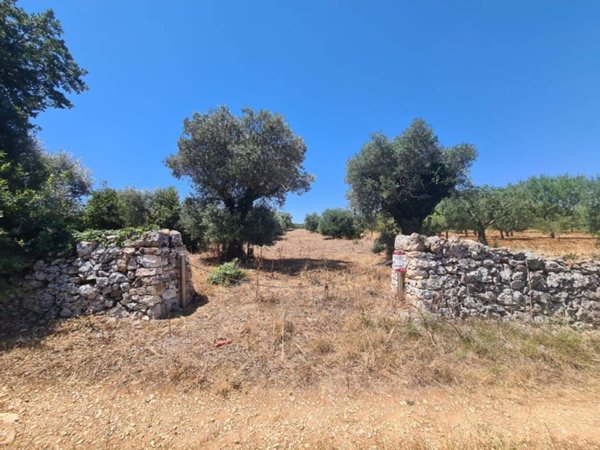 terreno agricolo in vendita ad Alberobello