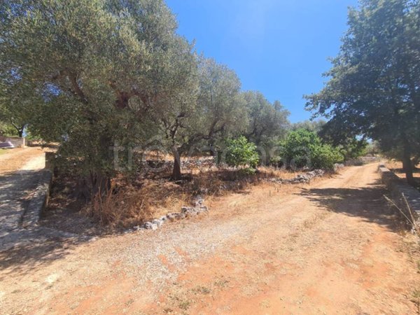 terreno agricolo in vendita ad Alberobello