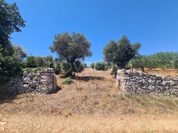 terreno agricolo in vendita ad Alberobello