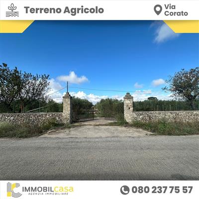 terreno agricolo in vendita ad Altamura
