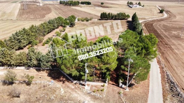 casa indipendente in vendita ad Altamura