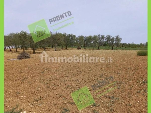 terreno agricolo in vendita ad Altamura