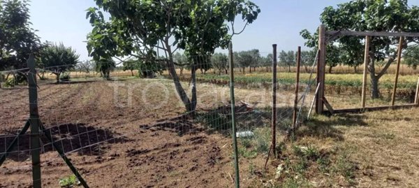 terreno agricolo in vendita ad Altamura