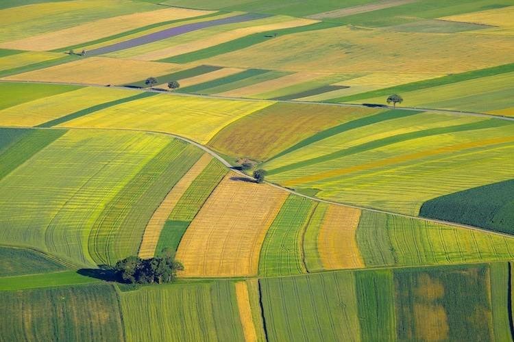 azienda agricola in vendita ad Altamura