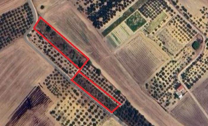 terreno agricolo in vendita ad Altamura