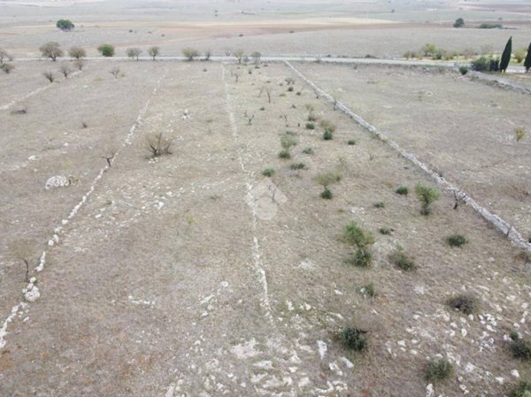 terreno agricolo in vendita ad Altamura