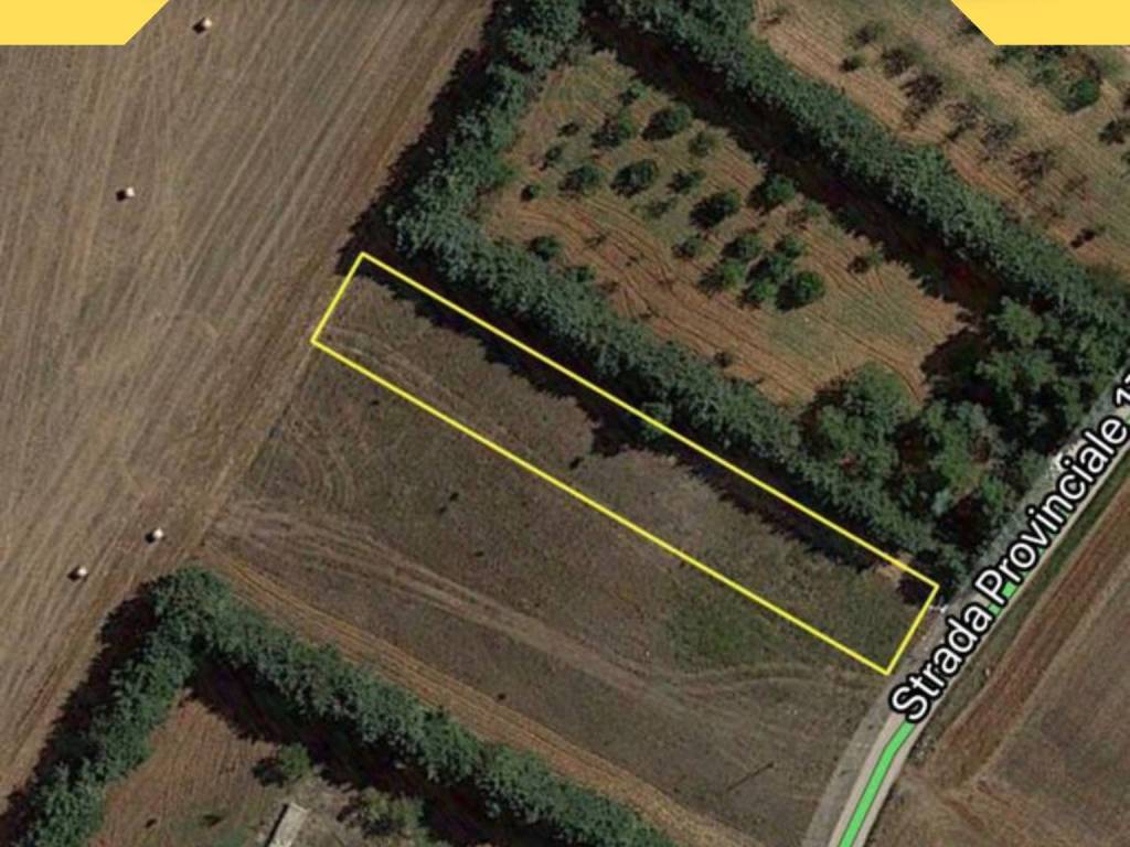 terreno agricolo in vendita ad Altamura