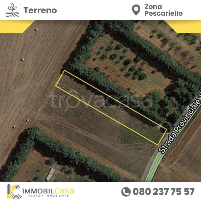 terreno agricolo in vendita ad Altamura
