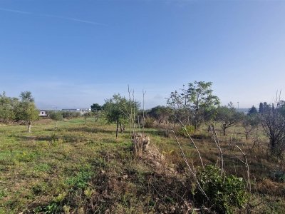terreno agricolo in vendita ad Altamura
