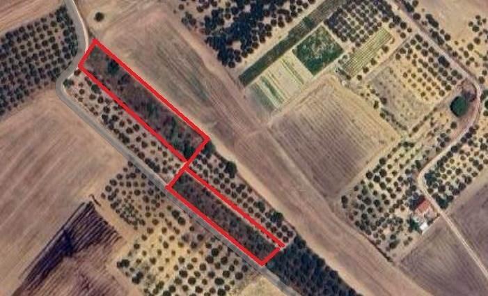 terreno agricolo in vendita ad Altamura