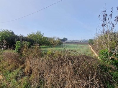 terreno agricolo in vendita ad Altamura